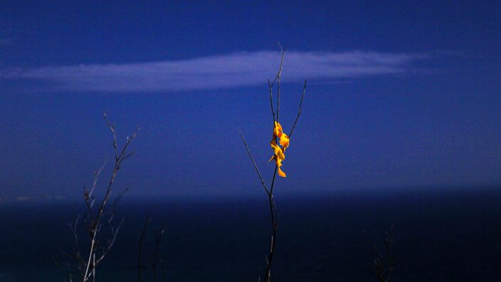 brigitte-weidmann_manart_Nacht